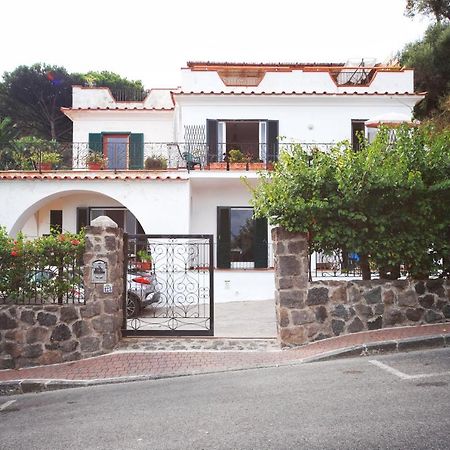 Profumo Di Mare Apartment Ischia Exterior photo